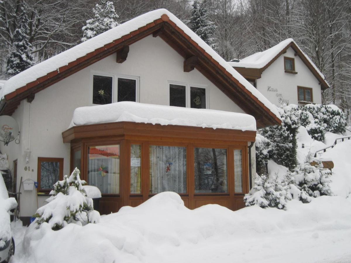 Haus Hirtenbergblick Lonau Екстер'єр фото