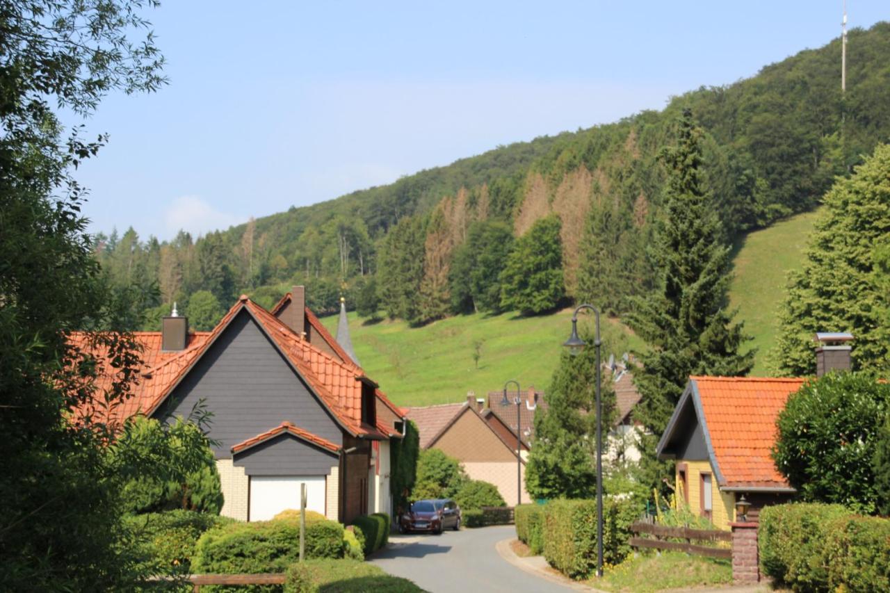 Haus Hirtenbergblick Lonau Екстер'єр фото