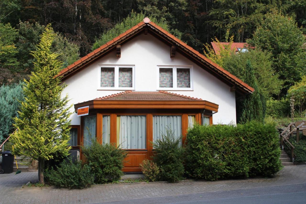Haus Hirtenbergblick Lonau Екстер'єр фото